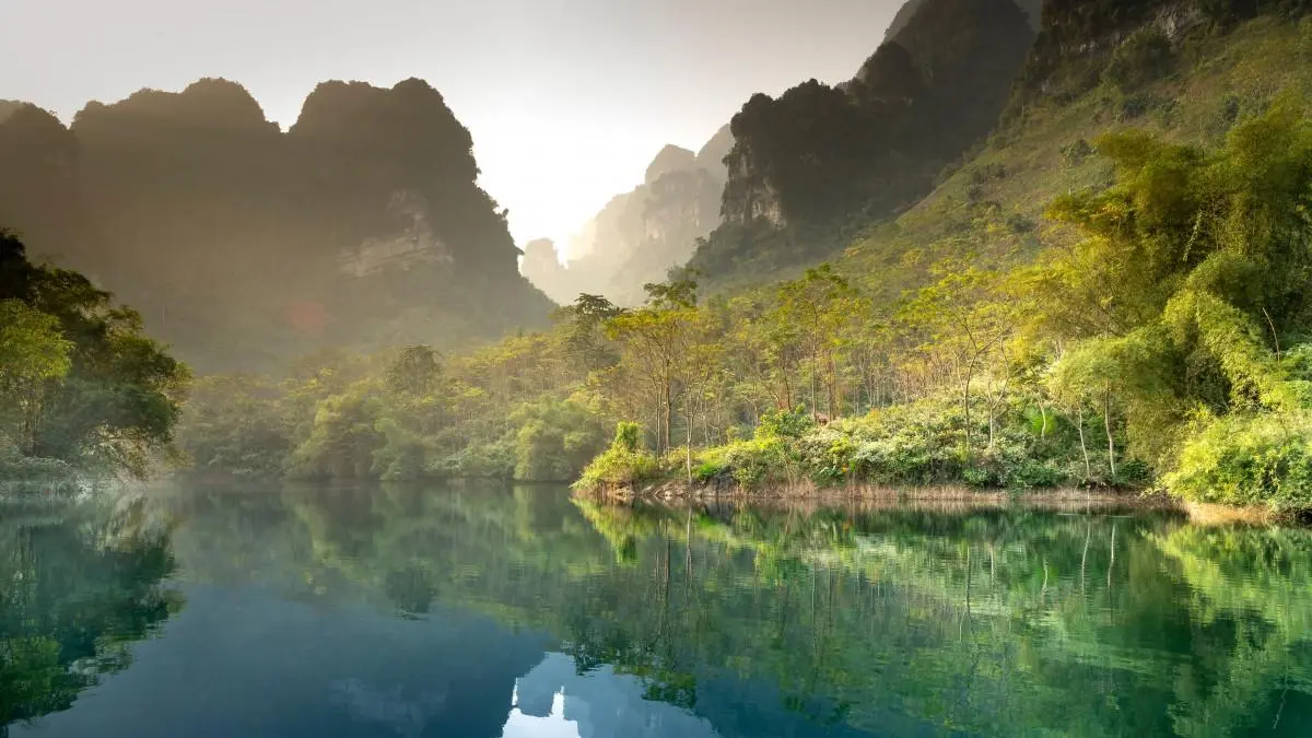高性能科技